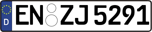 EN-ZJ5291