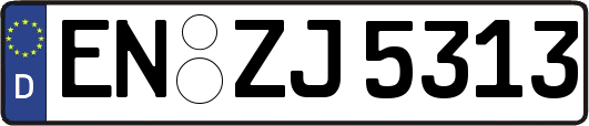 EN-ZJ5313
