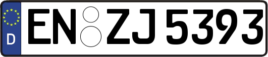 EN-ZJ5393