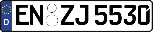 EN-ZJ5530
