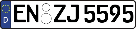 EN-ZJ5595