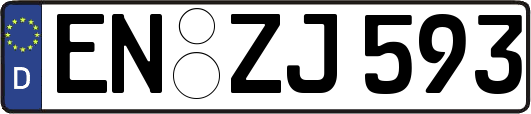 EN-ZJ593