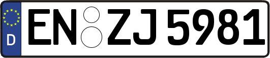 EN-ZJ5981