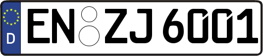 EN-ZJ6001