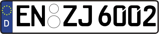 EN-ZJ6002