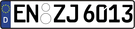 EN-ZJ6013