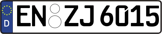 EN-ZJ6015