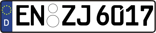 EN-ZJ6017