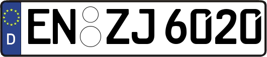 EN-ZJ6020