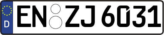 EN-ZJ6031