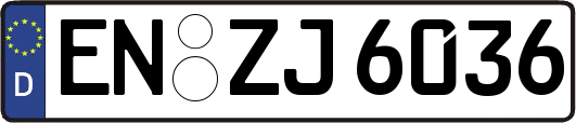 EN-ZJ6036