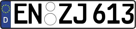 EN-ZJ613