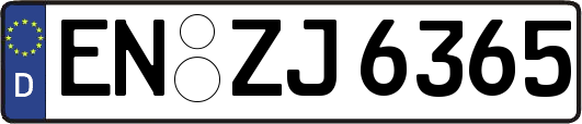 EN-ZJ6365