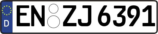 EN-ZJ6391