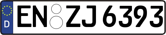 EN-ZJ6393