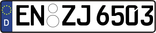EN-ZJ6503