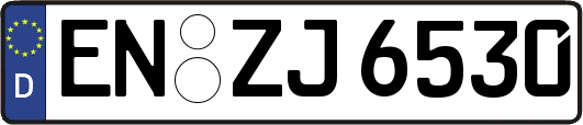 EN-ZJ6530