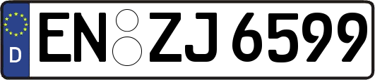 EN-ZJ6599