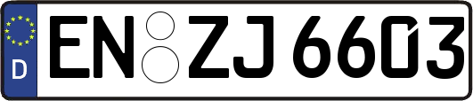 EN-ZJ6603