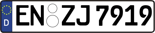 EN-ZJ7919