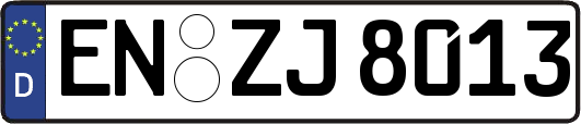 EN-ZJ8013