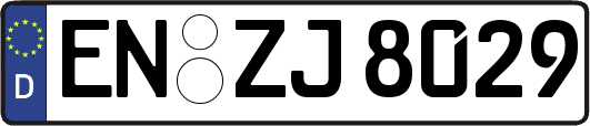 EN-ZJ8029