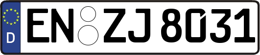 EN-ZJ8031