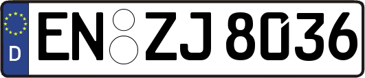 EN-ZJ8036