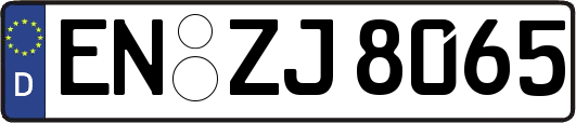 EN-ZJ8065