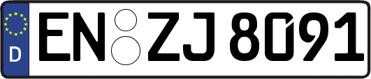 EN-ZJ8091