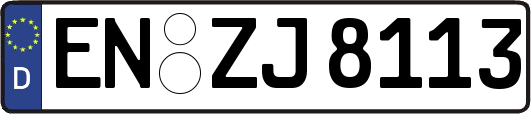 EN-ZJ8113