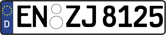 EN-ZJ8125