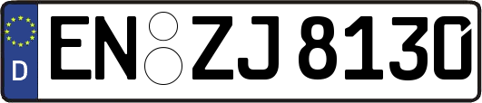 EN-ZJ8130
