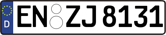 EN-ZJ8131