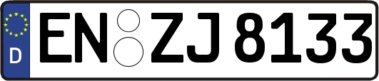 EN-ZJ8133