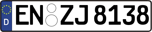 EN-ZJ8138