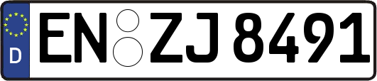 EN-ZJ8491