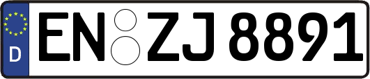 EN-ZJ8891