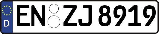 EN-ZJ8919