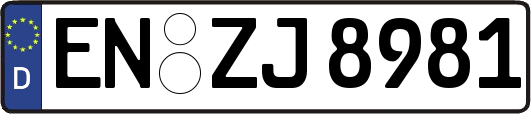 EN-ZJ8981