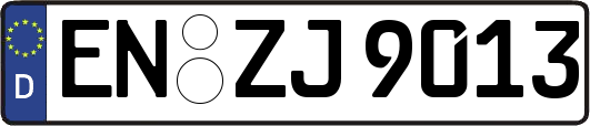 EN-ZJ9013