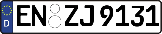 EN-ZJ9131