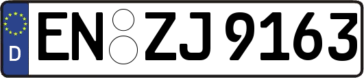 EN-ZJ9163