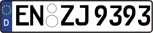 EN-ZJ9393