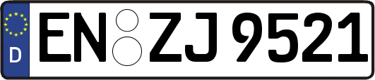 EN-ZJ9521