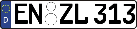 EN-ZL313