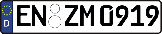 EN-ZM0919