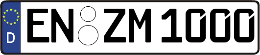 EN-ZM1000