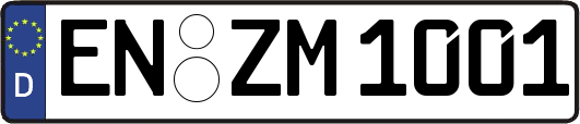 EN-ZM1001