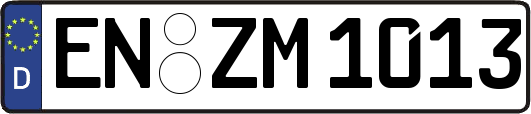 EN-ZM1013